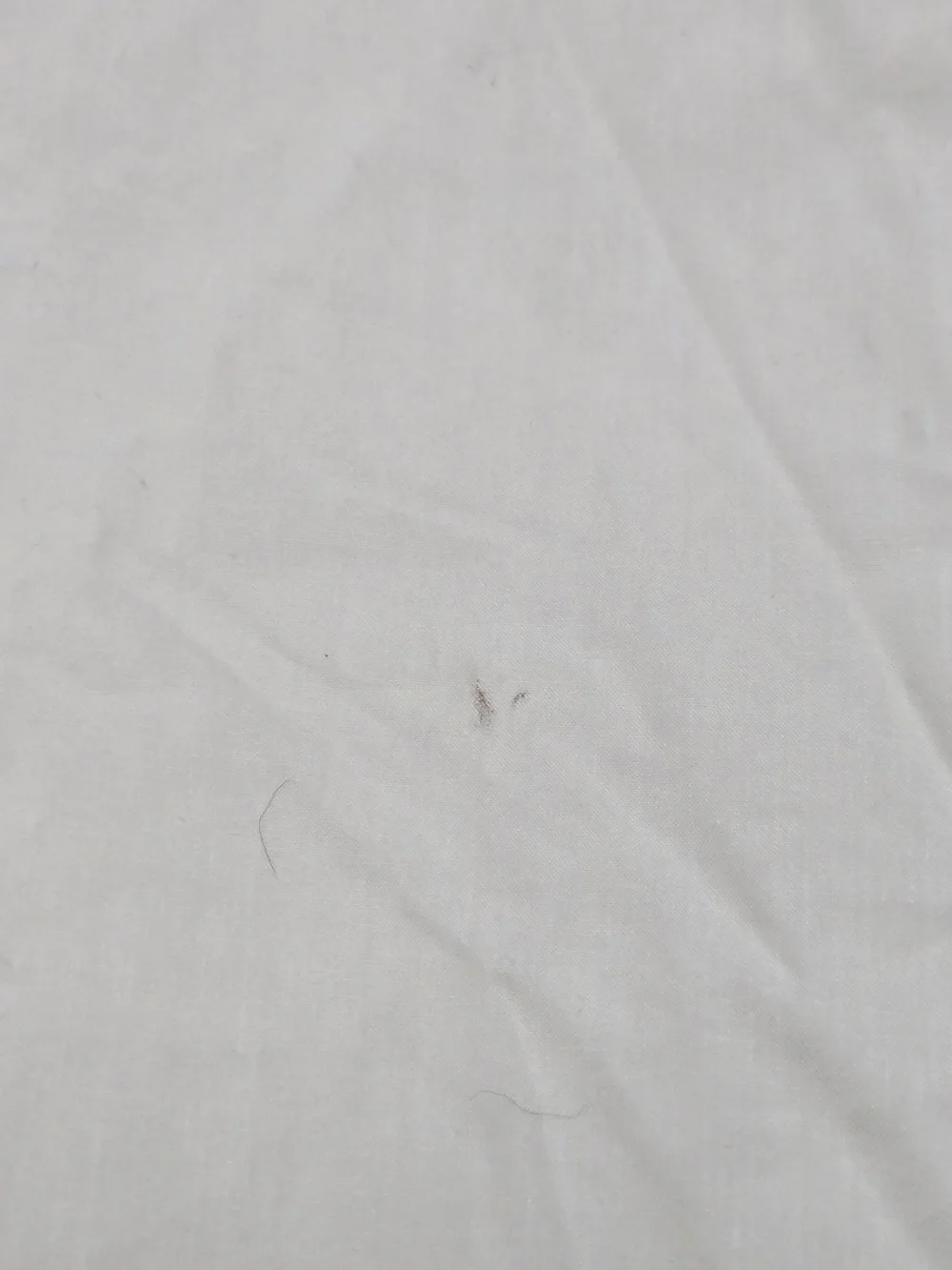 QUINCE Organic Percale Flat Sheet King Ivory 9064